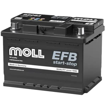MOLL-82064.webp