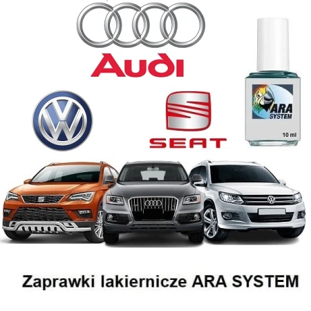 NOWY 6.jpg