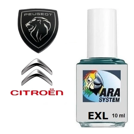 ARA-EXL.jpg
