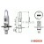 Żarówka halogenowa Bosch H1 Pure Light no. 1987301005 wymiary