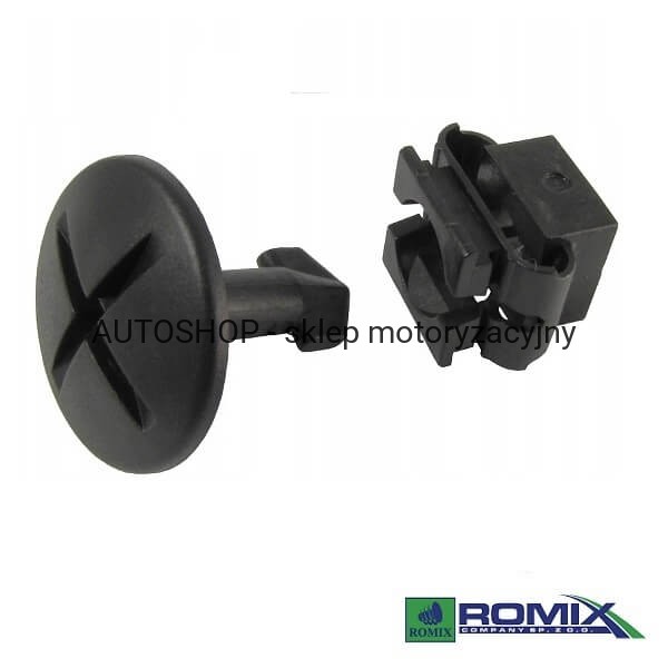 Kostka-RX-C10131 .jpg