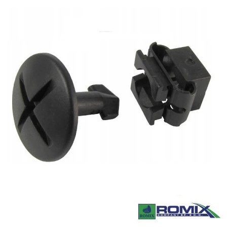 Kostka-RX-C10131 .jpg