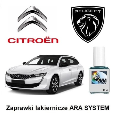 ARA-Citroen-Peugeot.jpg